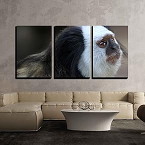 3 Piece Canvas Wall Art - Marmoset - Modern Home Art Stretched and Framed Ready to Hang - 16"x24"x3 Panels