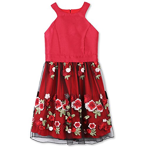 Speechless Big Girls' Party Dress with Embroidered Mesh Skirt, Wine Floral, 16