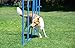 Dog Weave Poles Training Weave Poles Stake Type Dog Agility Super Strong Great for All Dogs Large and Small. Dog Agility Equipment Dog Training