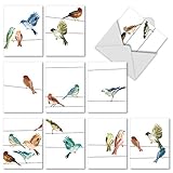 10 ‘High Wire Birds’ Watercolor Note Cards w/Envelopes - Assorted All-Occasion Blank Greeting Cards - Animal Stationery Set for Birthdays, Weddings, Thank Yous (4 x 5.12 Inch) M3318sl