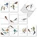 The Best Card Company - 10 Bird Note Cards Blank (4 x 5.12 Inch) - All Occasion Cards with Envelopes, Boxed Set - High Wire Birds M3318