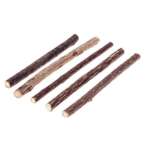 5Pcs Pure Natural Catnip Pet Cat Molar Toothpaste Stick Cat Cleaning Teeth Pet Cat Molar Toothpaste Stick Cat Snacks Sticks - Thumbnail 2
