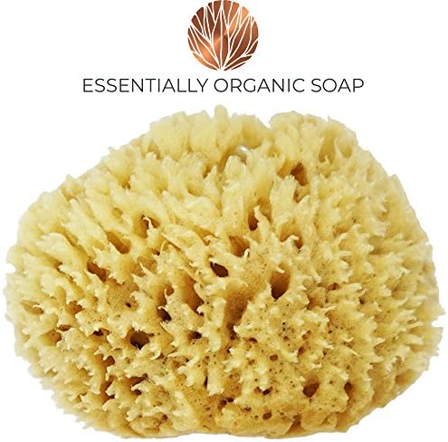 Facial Exfoliating Sea Wool Sponge | Skin Exfoliation Tool for Face and Body | Gentle, Deep Cleansing, Improves Texture, Good for All Skin Types, Hypoallergenic | 2-3 Inches