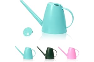 Bamworld Watering Can for Indoor Plants Long Spout Watering Cans for Garden Plants Indoor Outdoor Small Water Can for House F