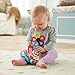 Fisher-Price Laugh and Learn Counting with Puppy Book