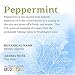 Aura Cacia Discover 100% Pure Peppermint Essential Oil | GC/MS Tested for Purity | 7.4 ml (0.25 fl. oz.) in Box with Uses Insert | Mentha piperita