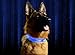 Pet Industries Metal Buckle LED Dog Collar, Available in 7 Colors & 4 Sizes (Large [18.5-23.5