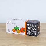 Calze A Righe Gialle E Nere Per Costume Ape - Collant Carnevale Per Donna E Bambina - Foto 3