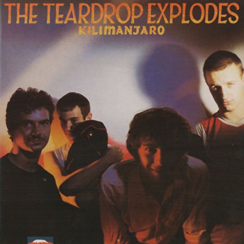 The Teardrop Explodes - 100 Eighties Classics - CD5 - Zortam Music