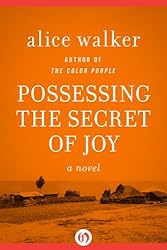 Possessing the Secret of Joy (The Color Purple Collection)