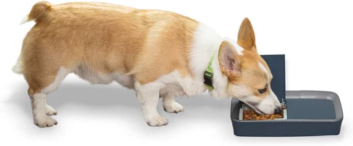 petsafe six meal feeder