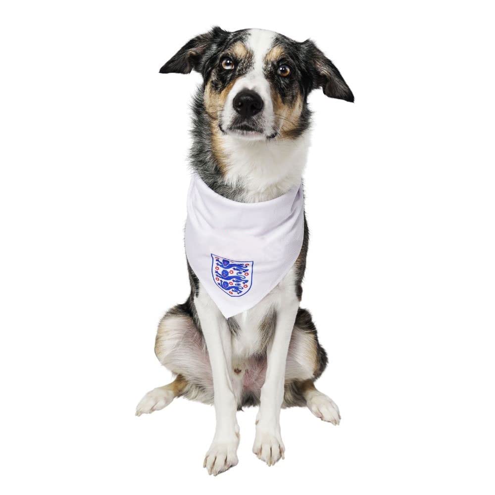 Dogsy Official England Dog Bandana | Football Dog Bandana | Dog England Bandana | England Dog Accessories | Licensed England Football Merchandise (Small)