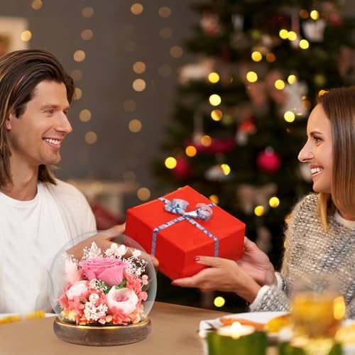 Comius Sharp Preserved Natural Eternal Rose, Eternal Rose with LED Lights, Bouquet Flowers in Glass Dome, Christmas Gifts Women Mom, Valentine's Day Mother's Day Gift (B)