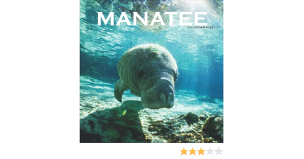 Manatee Calendar 2022: 12 Months Of High-Resolution Manatee Photos, Perfect Gift For Manatee Lovers Women And Men: Calendars, Mantee: 9798787856477: Amazon.com: Books
