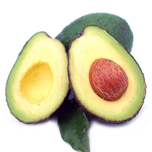 Afco 10Pcs Avocado Seeds Green Fruit Persea Americana Home Garden Plant Easy To Grow Wonderful Gardening Gifts - Thumbnail 2