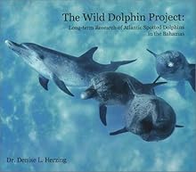 The Wild Dolphin Project: Long-term Recearch of Atlantic Spotted Dolphins in the Bahamas