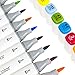 FabuColor - Alcohol Based Markers - Brush & Chisel Tip Art Set with Case - 12 Assorted Colors - Blendable Refillable Ink - Replaceable Nibs - Dual Sketch Broad or Fineline - Double Ended Permanent