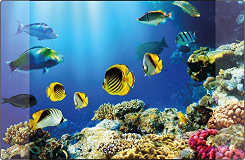 Sous-main Kangaro PP 0014D115-38 x 58 cm.