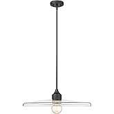 Z-Lite 821P24-MB Paloma Pendant, 1-Light 100 Watts, Matte Black