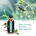 Anjou Peppermint Essential Oil 100% Pure & Natural for Aromatherapy, 2 fl. oz ¡­