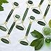 Jade Roller for Face - Gua Sha Tools - 100% Real Jade Face Roller Massager Set - Anti Aging Wrinkle Puffiness Facial Skin Jade Rolling Treatment Therapy - Storage Pouch and E-book Included