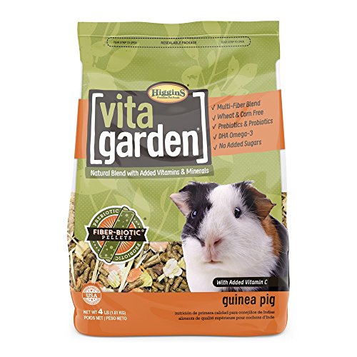 Higgins Vita Garden Guinea Pig Food, 4 Lbs., Large