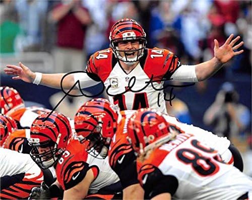 Andy Dalton Autographed 8x10 Photo Cincinnati Bengals Qb Image 3 At Amazon S Sports Collectibles Store