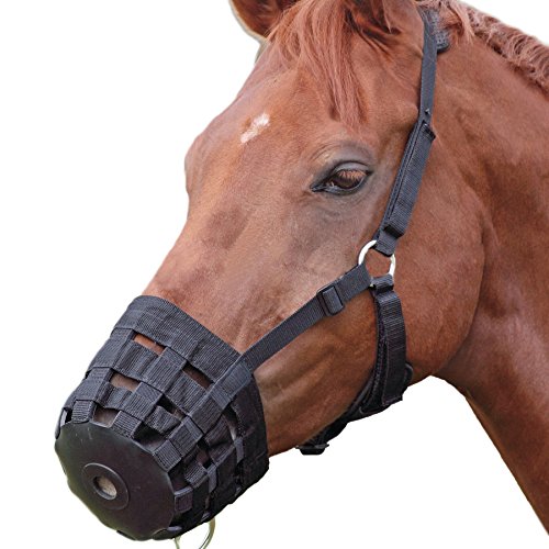 Alfie Pet by Petoga Couture - Equestrian Claude Adjustable Easy Breathe Nylon Horse Grazing Muzzle - Size: Small