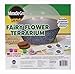 Miracle-Gro Kids Fairy Flower Terrarium by Horizon Group USA