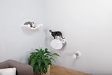 TRIXIE Spare Post 12 × 50 cm Cat Tree Accessory Natural Sisal view 2