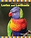 Lories and Lorikeets (The Birdkeeper's Guides) by Rebecca K. O'Connor