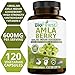 Biofinest Amla Berry (Indian Gooseberry) Capsules - with Vitamin C and Antioxidants - Potent Natural Supplement - Healthy Aging, Cholesterol Balance - Ayurveda (120 Vegetarian Capsules)