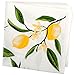 DII Lemon Bliss Tabletop Collection, Napkin Set, 6 Piece