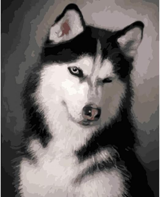 husky painting