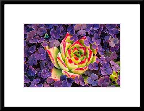Creative Landscape - Framed Scenic Art Print on Sale (18 x 24 inches Framed Wall Art - Photographic Art Print with Wood Frame and Mat)