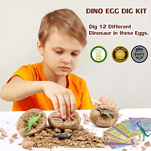 VATOS Dinosaurier Eier 12 Stück, Dinosaurier Ei Toy Entdecken sie 12 Verschiedene Dinos, Archäologie Spielzeug STEM Lernspielzeug Party Dinosaur Figuren für 6-10 Jahre Jungen Mädchen Kinder Geschenk – Bild 7
