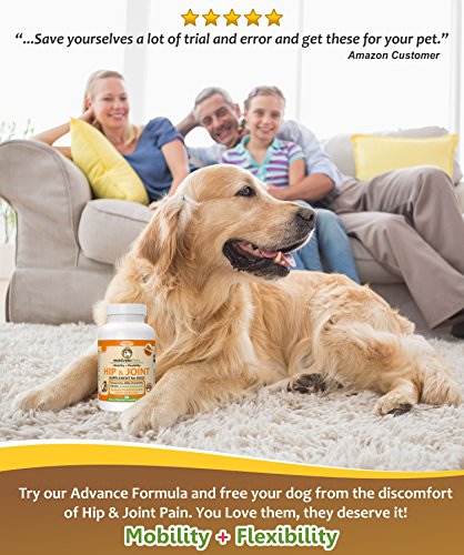 Makondo Pets Hip and Joint Supplement with Glucosamine for Dogs, Turmeric, Chondroitin, MSM, Vitamins, Fish Oil and Natural Boswellia - Get the Best Joint Supplement for Dogs - Thumbnail 3