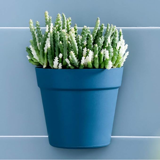 Amazon.com: Wall Hanging Planter, Indoor Hanging Planter Wall Mounted