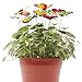 Antallcky 100pcs Butterfly Stakes Outdoor Yard Planter Flower Pot Bed Garden Decor Butterflies Christmas Decorations, Artificial Butterflies on Metal Wire Plant Stake Stems-Multicolor