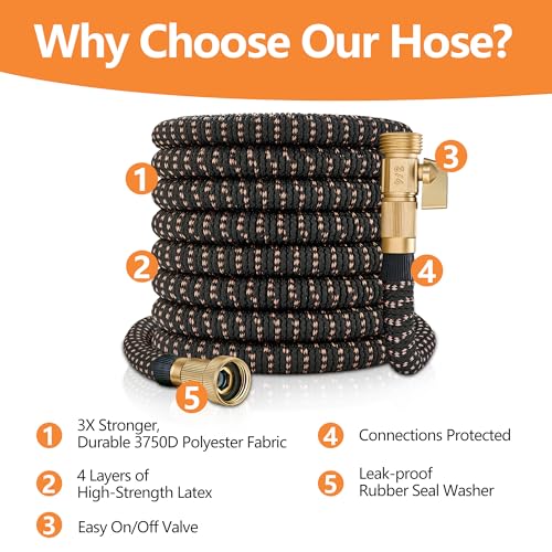 50 ft Garden Hose - Expandable Garden Hose with 10 Function Spray Nozzle - Kink-Free, Lightweight, Durable, Flexible, 2026 New Retractable Water Hoses for Yard, Lawn, Gardening(Black Rose gold)
