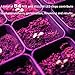 Grow lights 60W LED Plant Light Strips, MIXC 2019 Upgraded Version Growing Lamp with Timer 24 hours Cycling 5 Dimmable Levels Red/Yellow Full Spectrum for Plants Succulent Seedling with Gifts [4-Pack]
