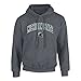 Michigan State Spartans Hooded Sweatshirt Charcoal