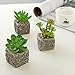 MyGift Set of 3 Decorative Green Realistic Mini Succulent Plants w/Brown Stone Pots