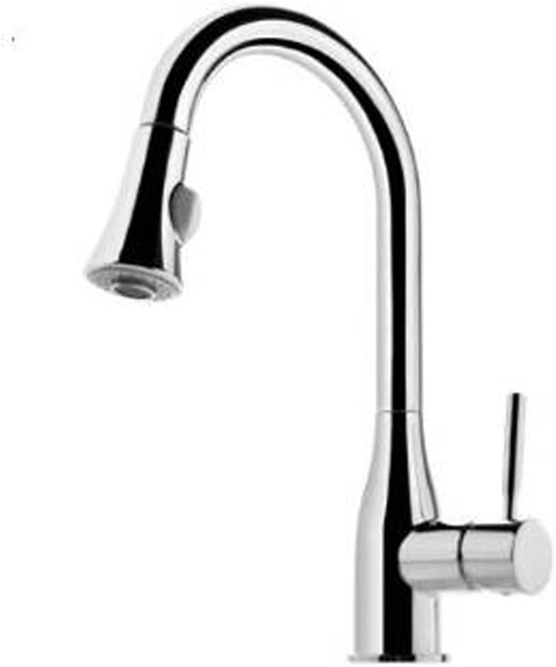 Fluid Faucets F821 Orion Single Handle Kitchen Sink Faucet with Multi