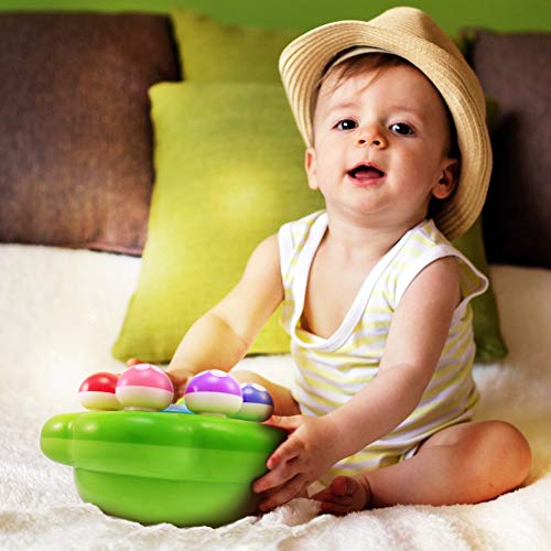 1 BEST+LEARNING+Mushroom+Garden+Educational