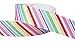 Rainbow Ribbon for Crafts - Hipgirl 30yd 7/8