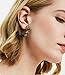 Enameljewelries Wave Tortoise Shell Hoop Earrings Lightweight Acrylic Resin Hoop Earrings with Hypoallergenic 925 Silver Post for Women (C5#Leopard)