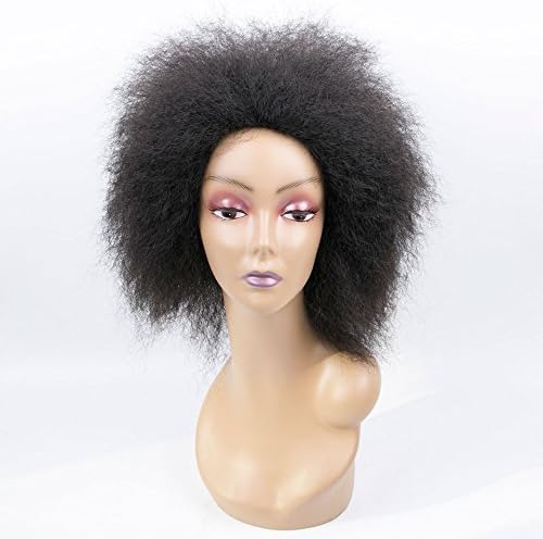 Short Wigs For Black Women Afro Wig Natural Black Wig Heat Resistant African American Wigs (Black)