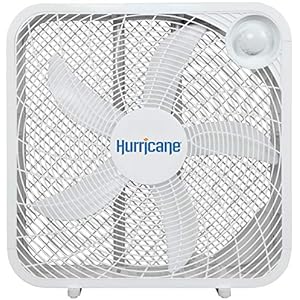 Amazon.com: Pedestal Fans: Home & Kitchen