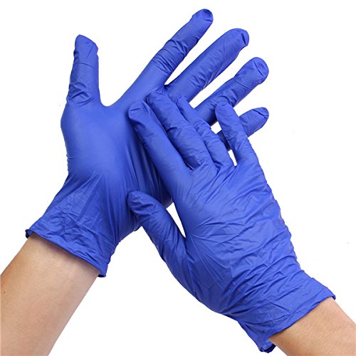 2 x 100 Pack Powder Free Latex Free Multi Purpose Vinyl Disposable Gloves (Blue, Large)